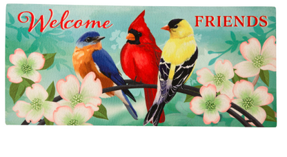 Welcome Friends Sassafras Switch Mat