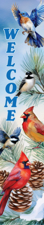 Winter Feeder-Yard Expression