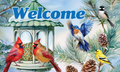Winter Feeder-Floor Mat