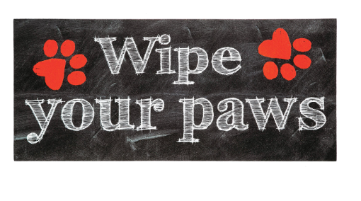 Wipe Your Paws Sassafras Switch Mat