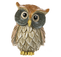 Wise Owl Stones