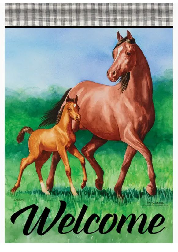 Young Spirit Flag