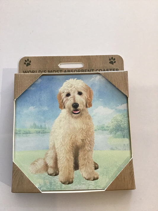 Goldendoodle Sitting Coaster
