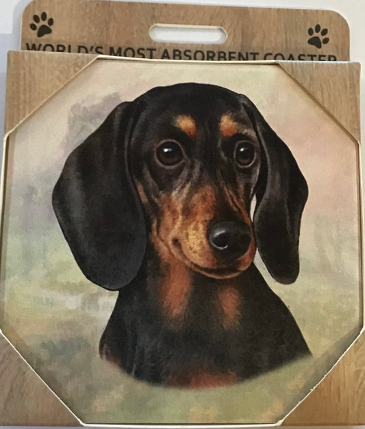Dachshund Stone Coaster