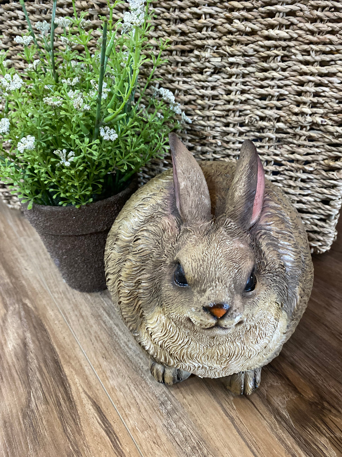 Healthy Bunny