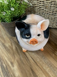 RESIN FATTY PIG