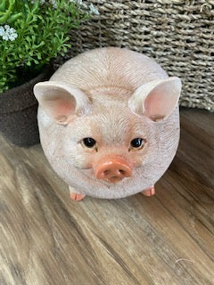 RESIN FATTY PIG