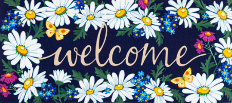 Welcome Daisies and Butterflies Sassafras Switch Mat