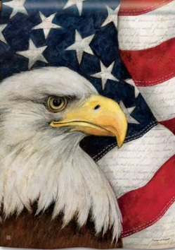American Eagle Flag