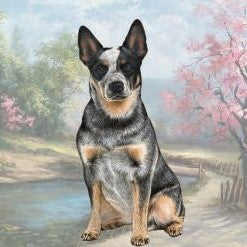 Australian Cattle Dog Sitting Stone Coaster