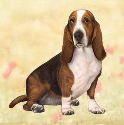 Basset Hound Sitting Stone Coaster