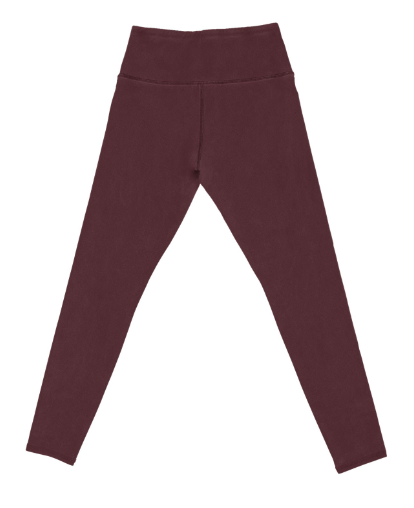 Fleece Lined Leggings Four Colors