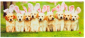 Bunny Puppies Sassafras Switch Mat