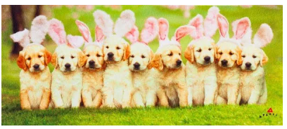 Bunny Puppies Sassafras Switch Mat