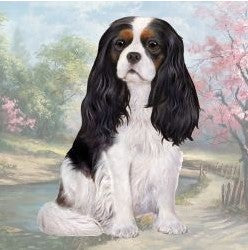 Cavalier Tri Color Sitting Stone Coaster