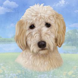 Goldendoodle Head Coaster