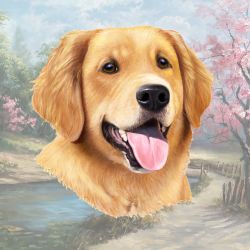 Golden Retriever Head Coaster
