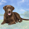 Chocolate Lab Laying Coaster