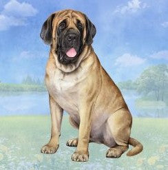 Mastiff English Sitting Stone Coaster