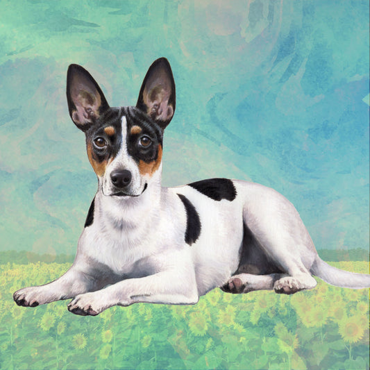 RAT TERRIER COASTER