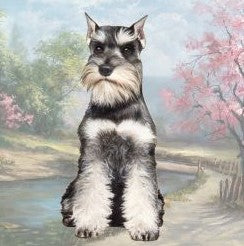 Schnauzer Sitting Stone Coaster