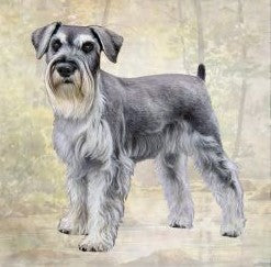 Schnauzer Standing Stone Coaster