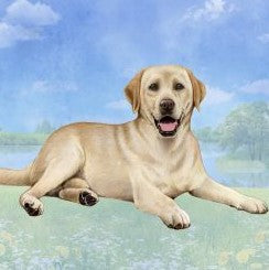 Yellow Lab Laying Stone Coaster